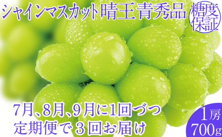 2026�N�\���t���y3�����ցz�V���C���}�X�J�b�g����1�[ ��700g 7��8��9���ɏo��  �l�C ���R���Y �햳�� �炲�ƐH�ׂ� �݂��݂�����   ������� �ʕ��卑 �n���m�t���[�c