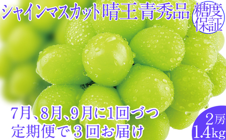 2025年予約受付中[3回定期便]シャインマスカット晴王 2房 約1.4kg 7月8月9月に出荷 人気 岡山県産 種無し 皮ごと食べる みずみずしい ハレノフルーツ