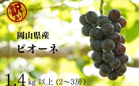 󂠂 j[sI[l@2`3[ v1.4kgȏ Yn ̂ Ԃǂ  R Kawahara Green Farm RY 2025