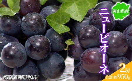 Ԃǂ 2025Ns\ j[sI[l 2[ 950g RY ͂ 9{`10{