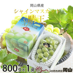 【2026年7月上旬より発送】岡山県産 シャインマスカット 晴王 800g×1房 ぶどう 葡萄 ブドウ フルーツ 果物