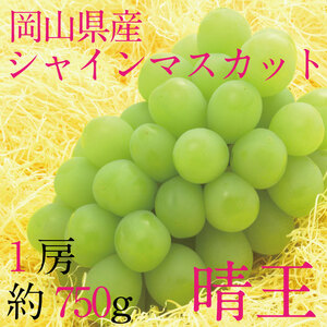 [HS]Ԃǂ 2025N s\ 9E10 VC}XJbg  1[ 750g uhE  RY Y t[c ʕ Mtg
