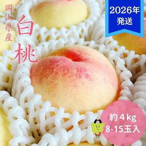 [2026年先行受付] 白桃 岡山 秀品 大玉 約4kg(8〜15玉) 岡山県産 桃 もも モモ 御中元 ギフト 御礼 プレゼント 御礼 御祝 御供 果物 くだもの フルーツ