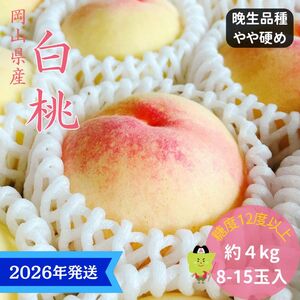 [2026年先行受付] 白桃 特秀 ロイヤル 大玉 晩生品種 約4kg(8〜15玉) 岡山県産 桃 もも モモ 御中元 ギフト 御礼 プレゼント 御礼 御祝 御供 果物 くだもの フルーツ