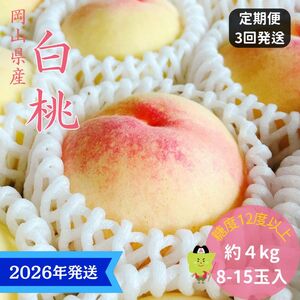 [2026年先行受付] 白桃 3回 定期便 特秀 ロイヤル 大玉 岡山県産 桃 もも モモ 御中元 ギフト 御礼 プレゼント 御礼 御祝 御供 果物 くだもの フルーツ