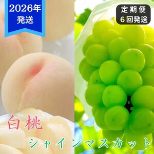 [2026年先行受付] 白桃 シャインマスカット 晴王 6回 定期便 桃 ぶどう 岡山県産 御中元 ギフト 御礼 プレゼント 御礼 御祝 御供 果物 くだもの フルーツ もも モモ 葡萄 ブドウ