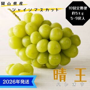 [2026年先行受付] シャインマスカット 晴王 10回 定期便 秀品 大房 岡山県産 ぶどう ギフト 御礼 プレゼント 御礼 御祝 御供 果物 くだもの フルーツ