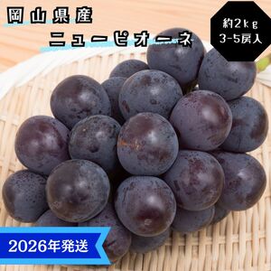 [2026年先行受付] ぶどう ニューピオーネ 秀品 約2kg(3〜5房) 岡山県産 ぶどう 葡萄 ブドウ ギフト 御礼 プレゼント 御礼 御祝 御供 果物 くだもの フルーツ