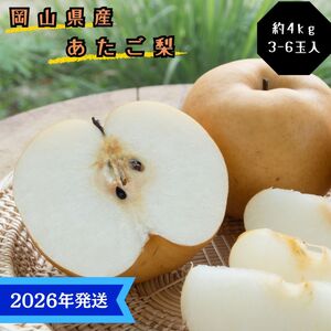 [2026年先行受付] 梨 あたご梨 秀品 約4kg(3〜6玉) 岡山名産 日本一大きな梨 なし ナシ お歳暮 ギフト 御礼 プレゼント 御礼 御祝 御供 果物 くだもの フルーツ