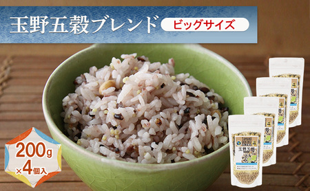 ʖ܍uh rbOTCY 200g×4 1 ܍uh Guh Y    ނ 哤 