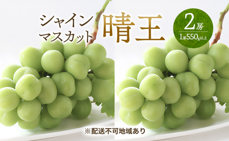 Ԃǂ 2026N s\ VC }XJbg   2[ i1[550gȏj }XJbg uhE   RY Y t[c ʕ Mtg Ύ