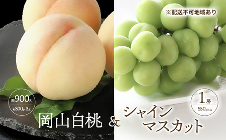  Ԃǂ 2026N s\  3 v900g i1ʖ300gj VC}XJbg  1[ 550gȏ   l R Y t[c ʕ Mtg Ύ