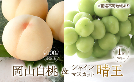 桃 ぶどう 2026年 先行予約 清水 白桃 3玉合計 約900g (1玉約300g) シャインマスカット 晴王 1房 550g以上もも 葡萄 詰合せ 岡山 国産 フルーツ 果物 ギフト 桃茂実苑