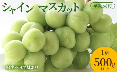 Ԃǂ t VC }XJbg 1[i500gȏj uhE  RY Y t[c ʕ Mtg Ύ