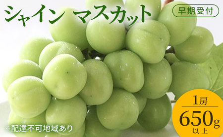 Ԃǂ t VC }XJbg 1[i650gȏj uhE  RY Y t[c ʕ Mtg Ύ