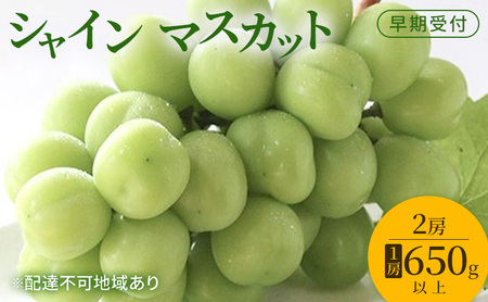 Ԃǂ t VC }XJbg 2[i1[650gȏj uhE  RY Y t[c ʕ Mtg Ύ