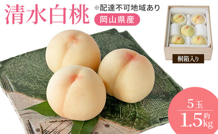  2026N s\ RY  1.5kg 5 ˔  R Y t[c ʕ Mtg Ύ