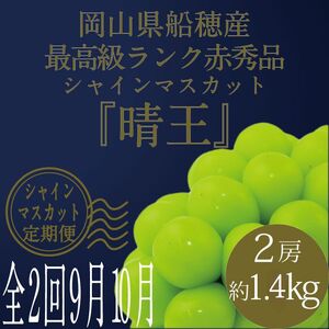【定期便 全2回】ぶどう 2026年 先行予約 9月・10月発送 高級品 シャインマスカット 晴王 2房 合計約1.4kg ブドウ 葡萄 岡山県産 国産 フルーツ 果物 ギフト