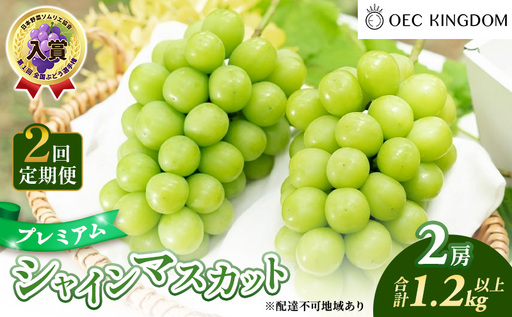 ぶどう 2026年 先行予約 2回 定期便 プレミアム シャインマスカット 2房(1.2kg以上) 贈答クラス ブドウ 葡萄 岡山県産 国産 フルーツ 果物 ギフト OEC KINGDOM ぶどう家 果物類