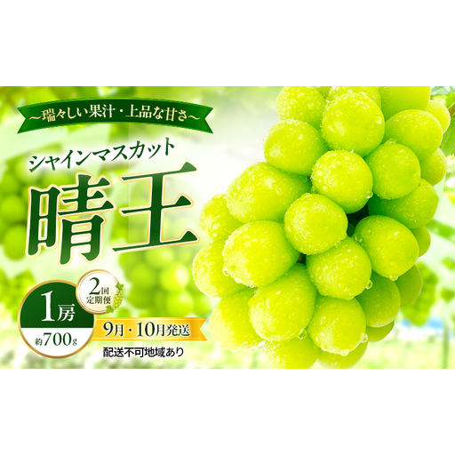 ぶどう 2026年 先行予約 定期便 シャインマスカット 晴王 1房 約700g 9月・10月 2回発送 岡山県産 種無し 皮ごと食べる みずみずしい 甘い 瀬戸内 晴れの国 おかやま 果物大国 満天フルーツ
