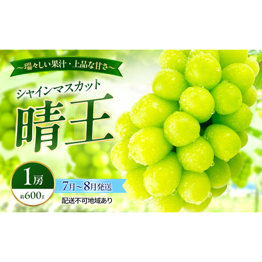 ぶどう 2026年 先行予約 シャインマスカット 晴王 1房 約600g 7月〜8月発送 岡山県産 種無し 皮ごと食べる みずみずしい 甘い 温室栽培 晴れの国 おかやま 果物大国 満天フルーツ