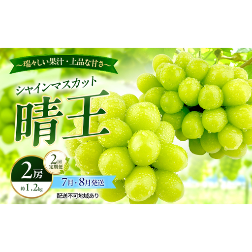 ぶどう 2026年 先行予約 定期便 シャインマスカット 晴王 2房 約1.2kg 7月・８月 2回発送 岡山県産 種無し 皮ごと食べる みずみずしい 甘い 温室栽培 瀬戸内 晴れの国 おかやま 果物大国 満天フルーツ