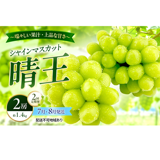 ぶどう 2026年 先行予約 定期便 シャインマスカット 晴王 2房 約1.4kg 7月・８月 2回発送 岡山県産 種無し 皮ごと食べる みずみずしい 甘い 温室栽培 瀬戸内 晴れの国 おかやま 果物大国 満天フルーツ