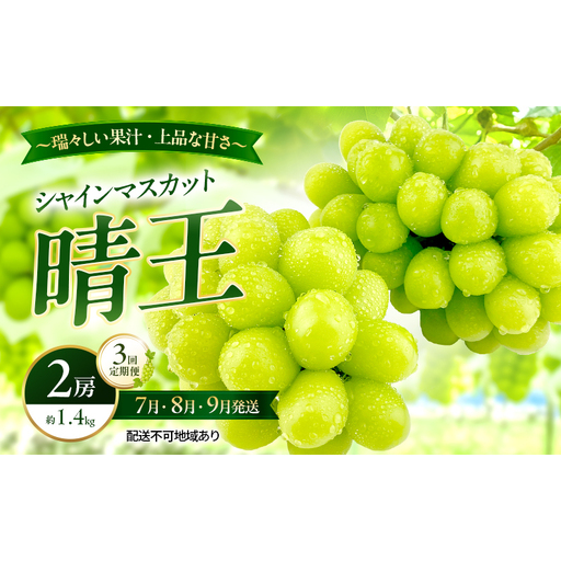 ぶどう 2026年 先行予約 定期便 シャインマスカット 晴王 2房 約1.4kg 7月・8月・9月 3回発送 岡山県産 種無し 皮ごと食べる みずみずしい 甘い 瀬戸内 晴れの国 おかやま 果物大国 満天フルーツ