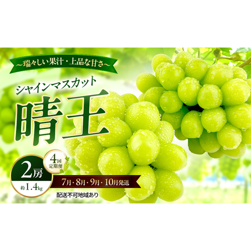 ぶどう 2026年 先行予約 定期便 シャインマスカット 晴王 2房 約1.4kg 7月・8月・9月・10月 4回発送 岡山県産 種無し 皮ごと食べる みずみずしい 甘い 瀬戸内 晴れの国 おかやま 果物大国 満天フルーツ