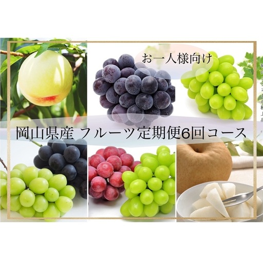 果物 2026年 先行予約 晴れの国 岡山 の フルーツ 定期便 6回コース [お一人様向け]岡山県産 桃 もも 葡萄 ぶどう 梨 なし