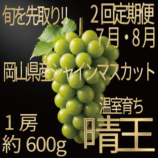 [HS][定期便全2回]ぶどう先行予約7月・8月発送温室シャインマスカット晴王1房約600g ブドウ 葡萄 岡山県産 国産 フルーツ 果物 ギフト デザート 食後 酸味が少ない 産地直送