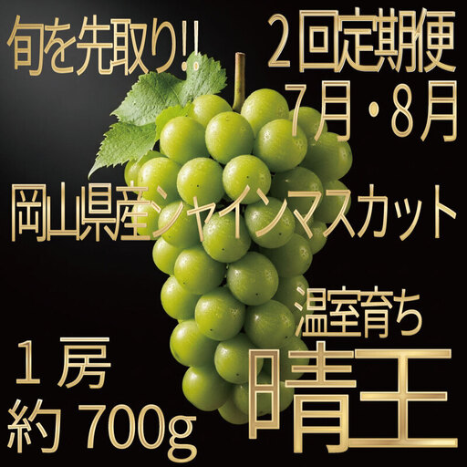 [HS]【定期便全2回】ぶどう先行予約7月・8月発送温室シャインマスカット晴王1房約700g ブドウ 葡萄  岡山県産 国産 フルーツ 果物 ギフト デザート 食後 酸味が少ない 産地直送