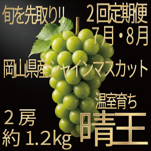 [HS]【定期便全2回】ぶどう先行予約7月・8月発送温室シャインマスカット晴王2房（合計約1.2kg）ブドウ 葡萄  岡山県産 国産 フルーツ 果物 ギフト デザート 食後 酸味が少ない 産地直送