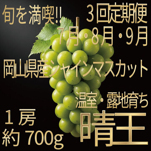 [HS]【定期便全3回】ぶどう先行予約7月・8月・9月発送温室シャインマスカット晴王1房約700g ブドウ 葡萄  岡山県産 国産 フルーツ 果物 ギフト デザート 食後 酸味が少ない 産地直送