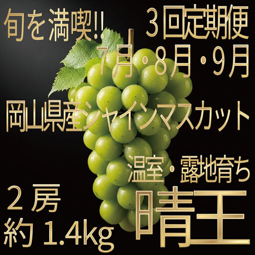 [HS]【定期便全3回】ぶどう先行予約7月・8月・9月発送温室シャインマスカット晴王2房（合計約1.4kg）ブドウ 葡萄  岡山県産 国産 フルーツ 果物 ギフト デザート 食後 酸味が少ない 産地直送