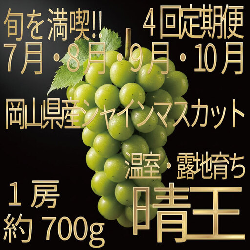 [HS]【定期便全4回】ぶどう先行予約7月・8月・9月・10月発送温室シャインマスカット晴王1房約700g ブドウ 葡萄  岡山県産 国産 フルーツ 果物 ギフト デザート 食後 酸味が少ない 産地直送