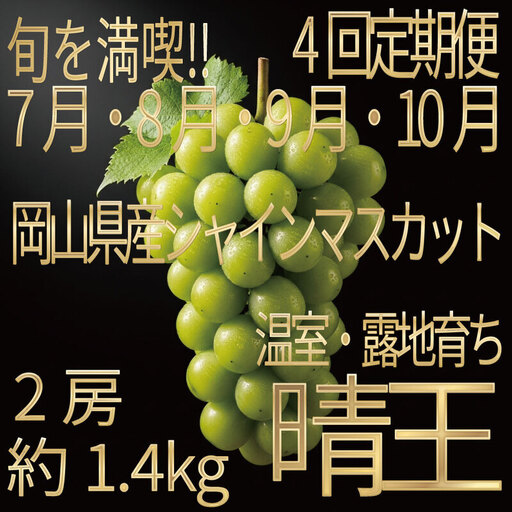 [HS]【定期便全4回】ぶどう先行予約7月・8月・9月・10月発送温室シャインマスカット晴王2房（合計約1.4kg）ブドウ 葡萄  岡山県産 国産 フルーツ 果物 ギフト デザート 食後 酸味が少ない 産地直送