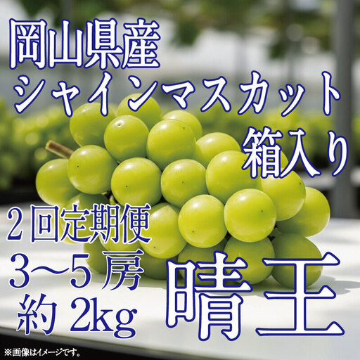 [HS][定期便全2回]ぶどう先行予約9月・10月発送シャインマスカット晴王2kg箱(3〜5房)ブドウ 葡萄 岡山県産 国産 フルーツ 果物 ギフト デザート 食後 酸味が少ない 産地直送