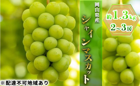 ぶどう 2025年 先行予約 シャイン マスカット 約1.3kg 2〜3房 ブドウ 葡萄 岡山県産 国産 フルーツ 果物 ギフト 果物類 シャインマスカット