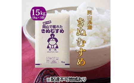 令和5年産 きぬむすめ 15kg (5kg×3袋) 岡山県産 精米 お米