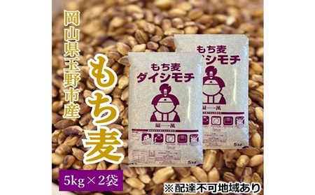 岡山県玉野市産 もち麦 ダイシモチ 10kg (5kg×2袋)