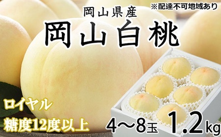 桃 2025年 先行予約 岡山 白桃 ロイヤル 4〜8玉 約1.2kg JA おかやま のもも(早生種・中生種) もも モモ 岡山県産 国産 フルーツ 果物 ギフト 甘い 美味しい 産地直送 贈り物 高糖度