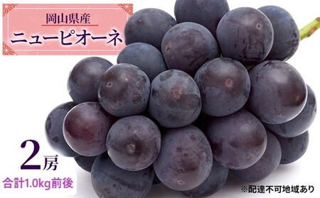 Ԃǂ 2026N s\ j[ sI[l 2[ v1.0kgO uhE   RY Y t[c ʕ Mtg fU[g H Ȃ 嗱 Â݂ _ oX