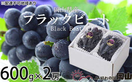 ぶどう 2024年 先行予約 ブラックビート 約600g×2房  ブドウ 葡萄  岡山県産 国産 フルーツ 果物 ギフト