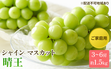 ぶどう 2025年 先行予約 ご家庭用 シャイン マスカット 晴王 3～6房 約1.5kg ブドウ 葡萄  岡山県産 国産 フルーツ 果物 太陽 美しい 外観 大粒 高糖度 種なし 皮ごと 弾力 食感 美味しい 