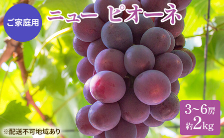 ぶどう 2025年 先行予約 ご家庭用 ニュー ピオーネ 3～6房 約2kg ブドウ 葡萄  岡山県産 国産 フルーツ 果物 巨峰 美しい 外観 大粒 高糖度 種なし 皮ごと 芳醇 酸味 美味しい 絶妙 バランス 大人気 