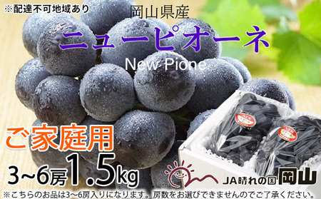 ぶどう 2025年 先行予約 ご家庭用 ニュー ピオーネ 3～6房 約1.5kg ブドウ 葡萄  岡山県産 国産 フルーツ 果物 巨峰 美しい 外観 大粒 高糖度 種なし 皮ごと 芳醇 酸味 美味しい 絶妙 バランス 大人気 