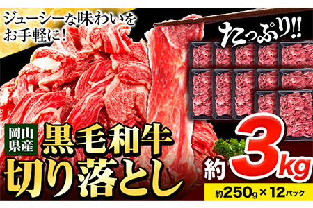 y󂠂zјa ؂藎Ƃ  3kg 250g×12s30ȓɏoח\(yj)tbb  ؂藎Ƃ  јa  RY Y  Ⓚ 