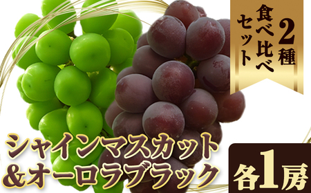 ys\zVC}XJbg I[ubN 2[s2026N9{-9{oׁtR }s Ίە_ lߍ킹 Zbg 嗱 햳 ʓ ̂ { }XJbg Ԃǂ 