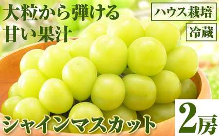 ys\zVC}XJbg 2[inEX͔|js2026N8{-8{oׁtR }s Ίە_ ʓ { }XJbg Ԃǂ  t[c ʕ R